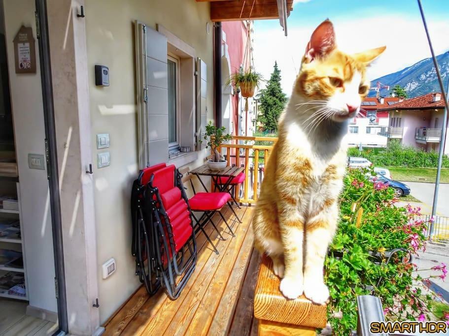 Antica Casa Alboletta - Appartamento Frida Kahlo Riva del Garda Exterior foto